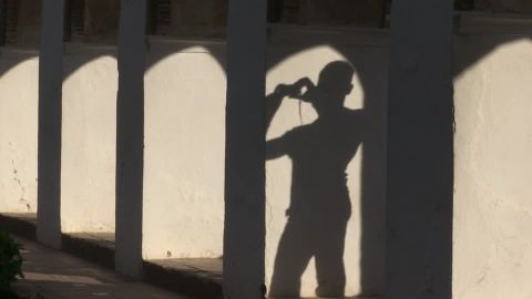 alhambra shadow